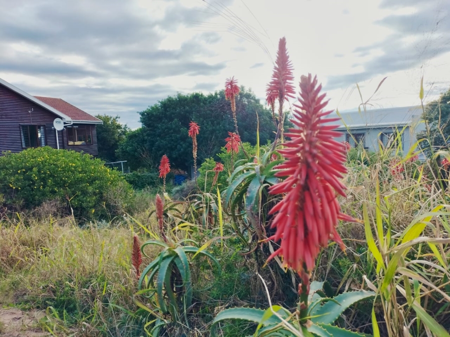 0 Bedroom Property for Sale in Fraaiuitsig Western Cape
